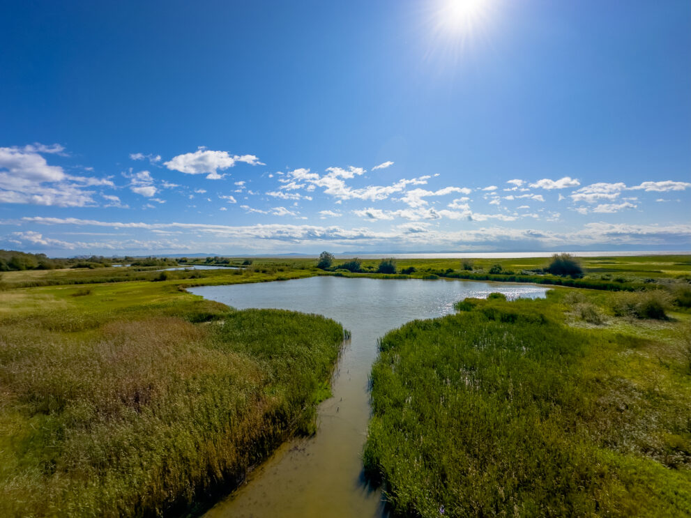 View in Ladner BC near the wild life refuge